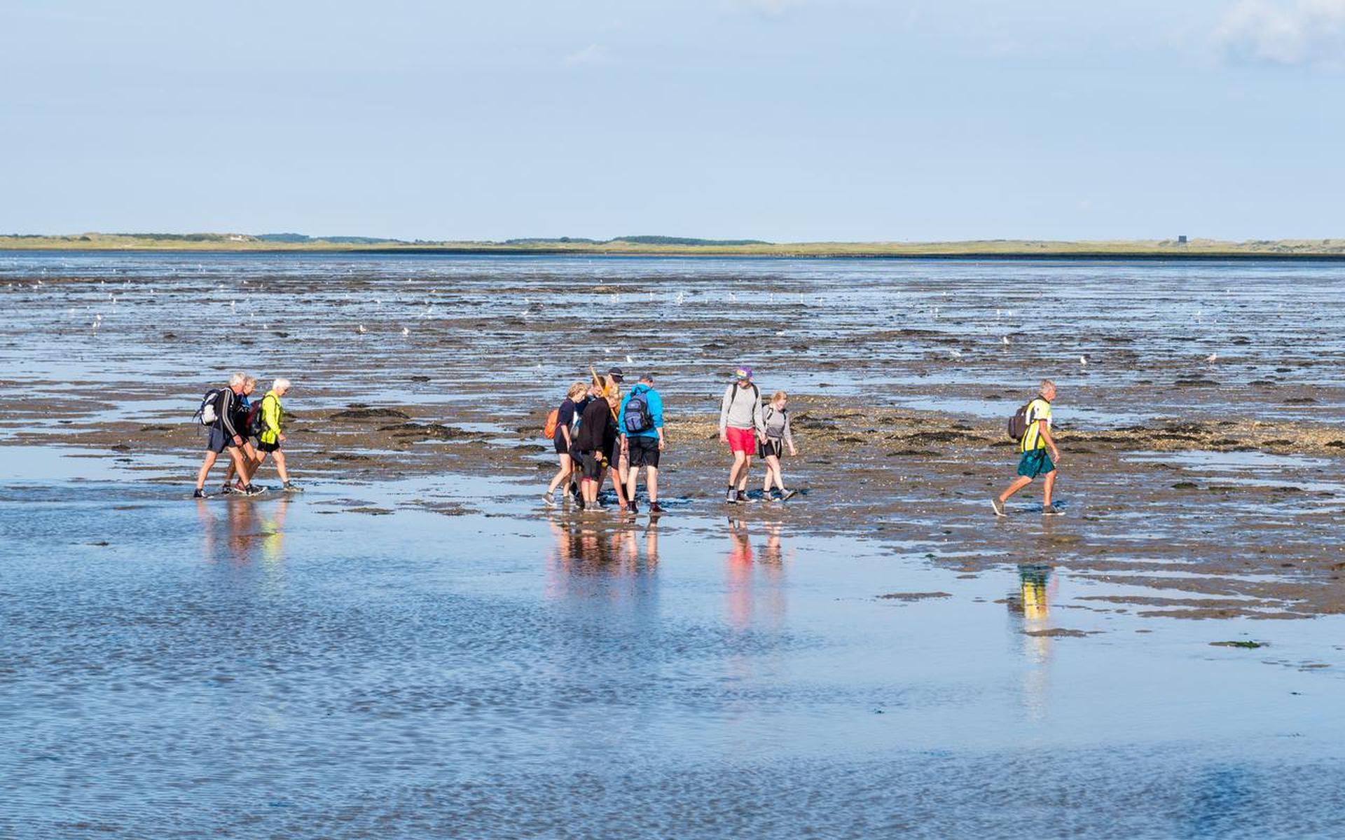Van waddenkwartet naar waddentrio: hoe minder ministers, hoe beter het met de Wadden gaat - Leeuward