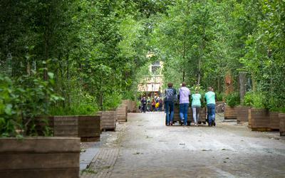 Vrijwilligers verplaatsen de bomen van Bosk naar het Bonifatiusplein.