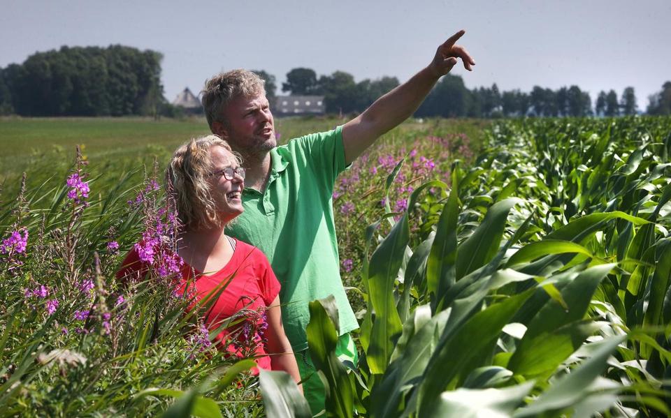 Elsa-Algra van der Meulen en haar broer Wieger in het weiland bij Suwâld. FOTO NIELS WESTRA
