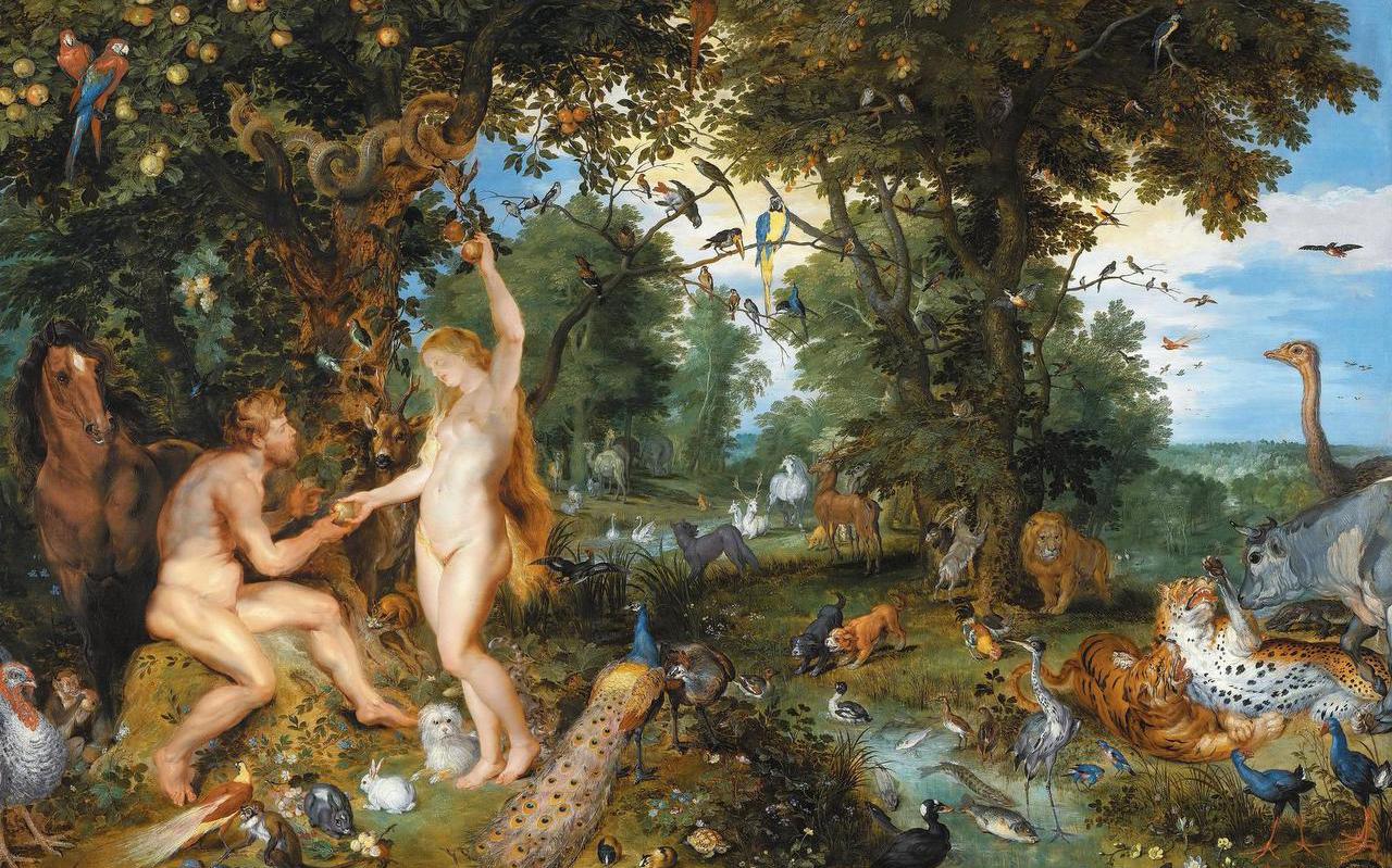 Als het verhaal van Adam en Eva niet historisch is, wat betekent dat dan voor de christelijke visie op de herkomst van het menselijk kwaad en de herkomst daarvan? SCHILDERIJ VAN JAN BRUEGHEL EN PETER PAUL RUBENS, CA. 1615.