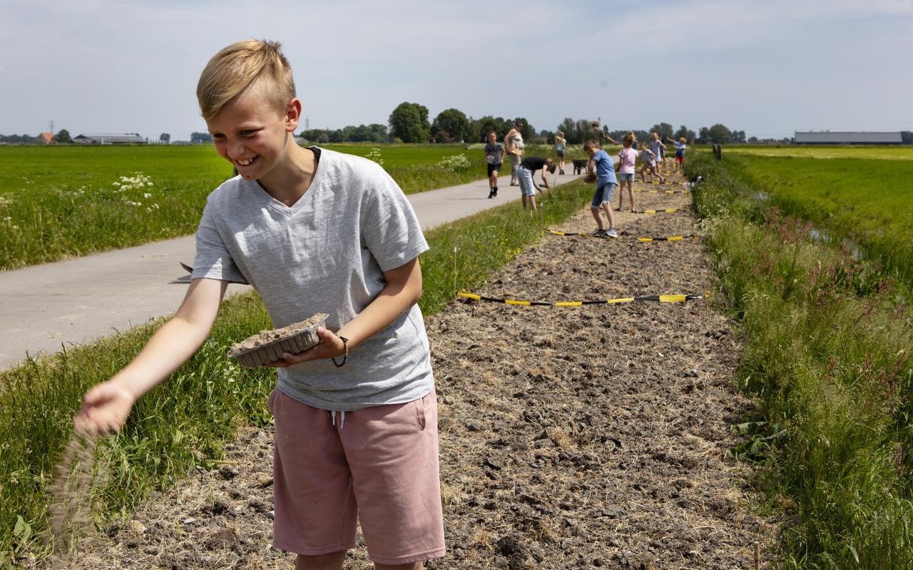 Basisschoolkinderen zaaiden dit voorjaar bij Weidum bermen in voor de biodiversiteit. FOTO HOGE NOORDEN/JAAP SCHAAF Basisschoolkinderen zaaiden dit voorjaar bij Weidum bermen in voor de biodiversiteit. FOTO HOGE NOORDEN/JAAP SCHAAF