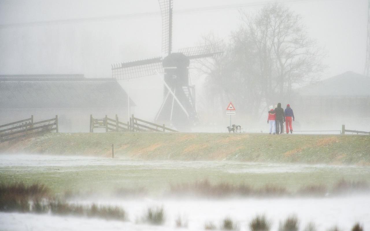 Wandelen in de harde wind en stuifsneeuw op de Nije Skou bij Haskerdijken. FOTO MARCEL VAN KAMMEN Wandelen in de harde wind en stuifsneeuw op de Nije Skou bij Haskerdijken. FOTO MARCEL VAN KAMMEN