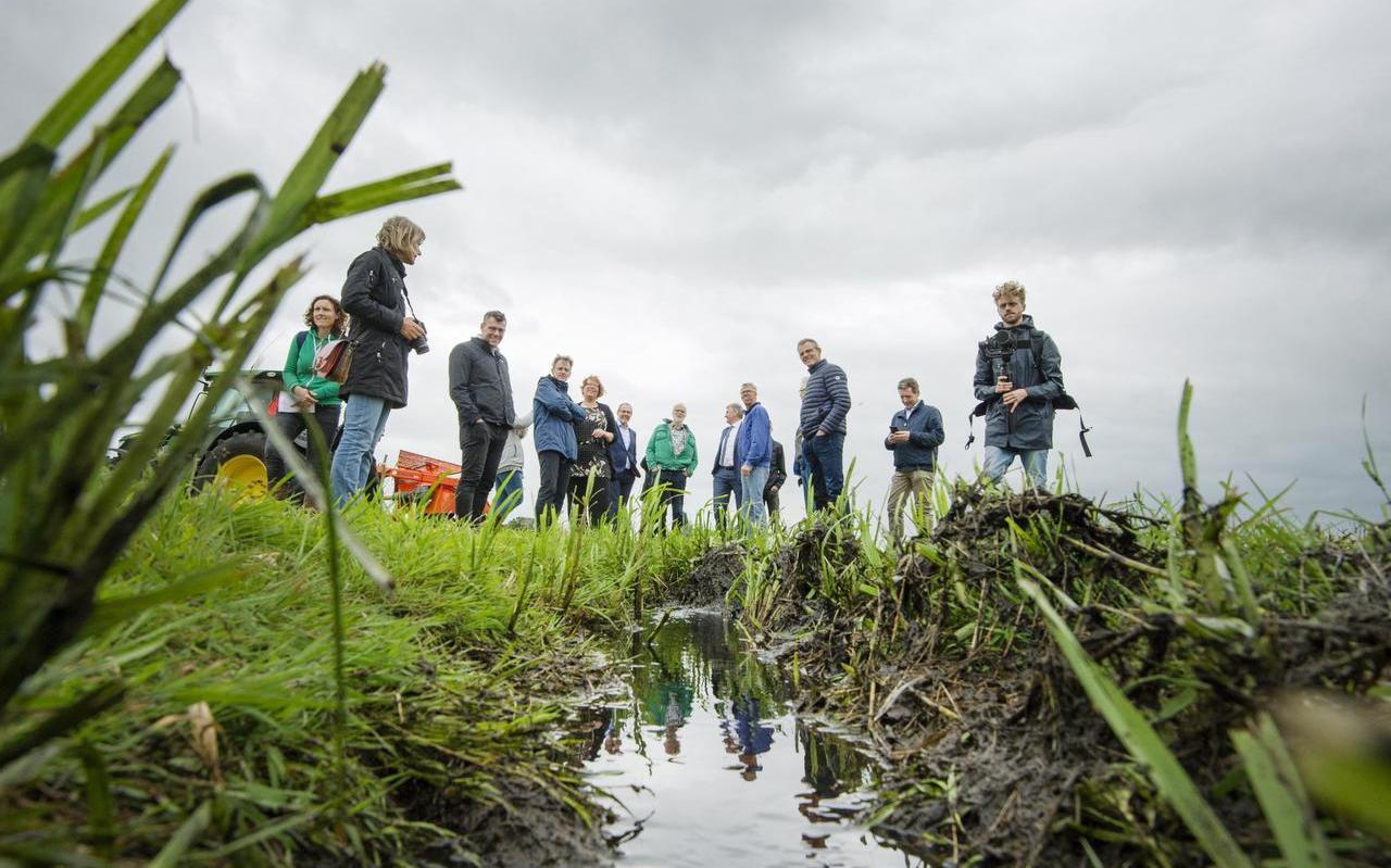 Veenvernatting in de Lytse Deelen, waar boer Sjoerd Miedema in juni het waterpeil maximaal optrok voor de verkoop van CO2-certificaten.