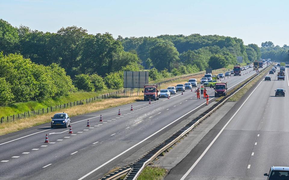 Er ligt slachtafval op de A7.