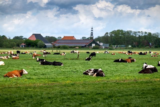 Boeren in Aldeboarn-De Deelen bijna los met hogere waterpeilen