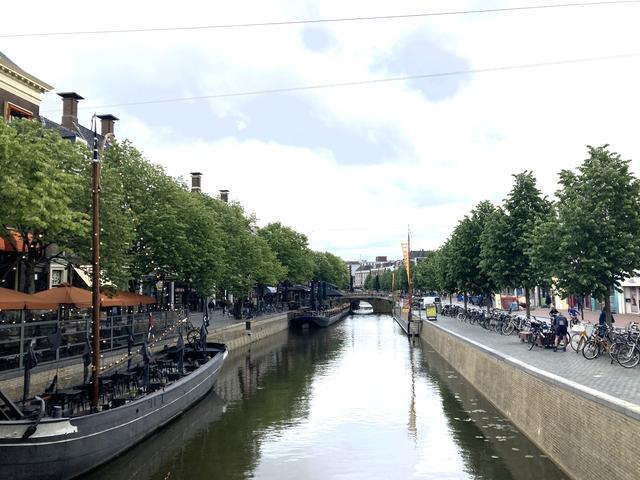 Kapvergunning gevraagd voor 19 bomen Nieuwestad