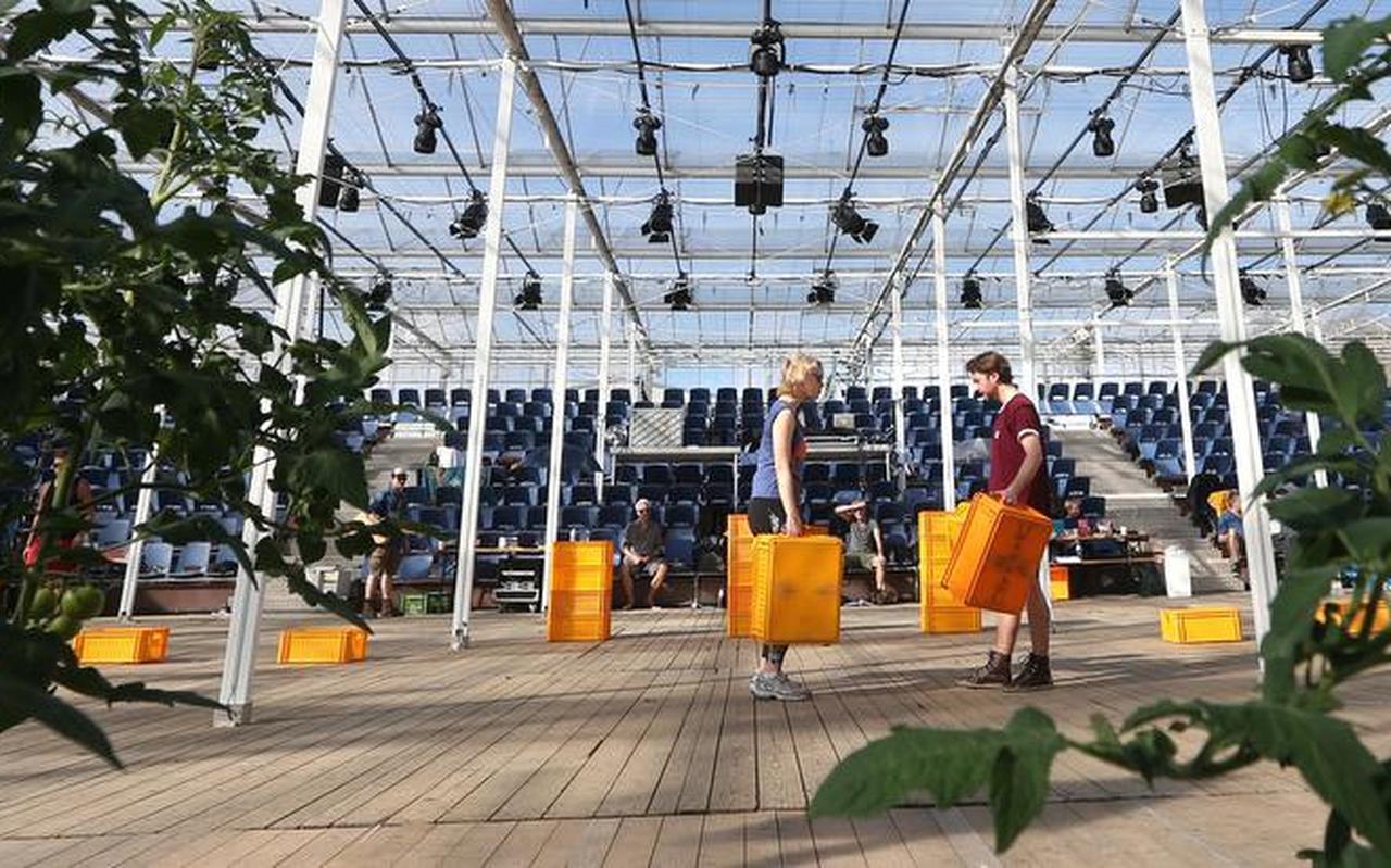 Hoofdrolspelers Maartje van de Wetering, die kwekersdochter Klaske speelt, en Wojtek, gespeeld door Peter Jakubow tussen de kratten en tomatenplanten. FOTO CATRINUS VAN DER VEEN Hoofdrolspelers Maartje van de Wetering, die kwekersdochter Klaske speelt, en Wojtek, gespeeld door Peter Jakubow tussen de kratten en tomatenplanten. FOTO CATRINUS VAN DER VEEN