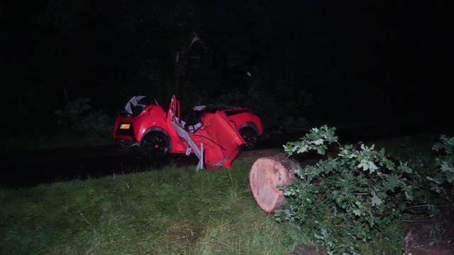 Boom valt op auto: vrouw (25) uit Joure komt om het leven in ‘t Haantje