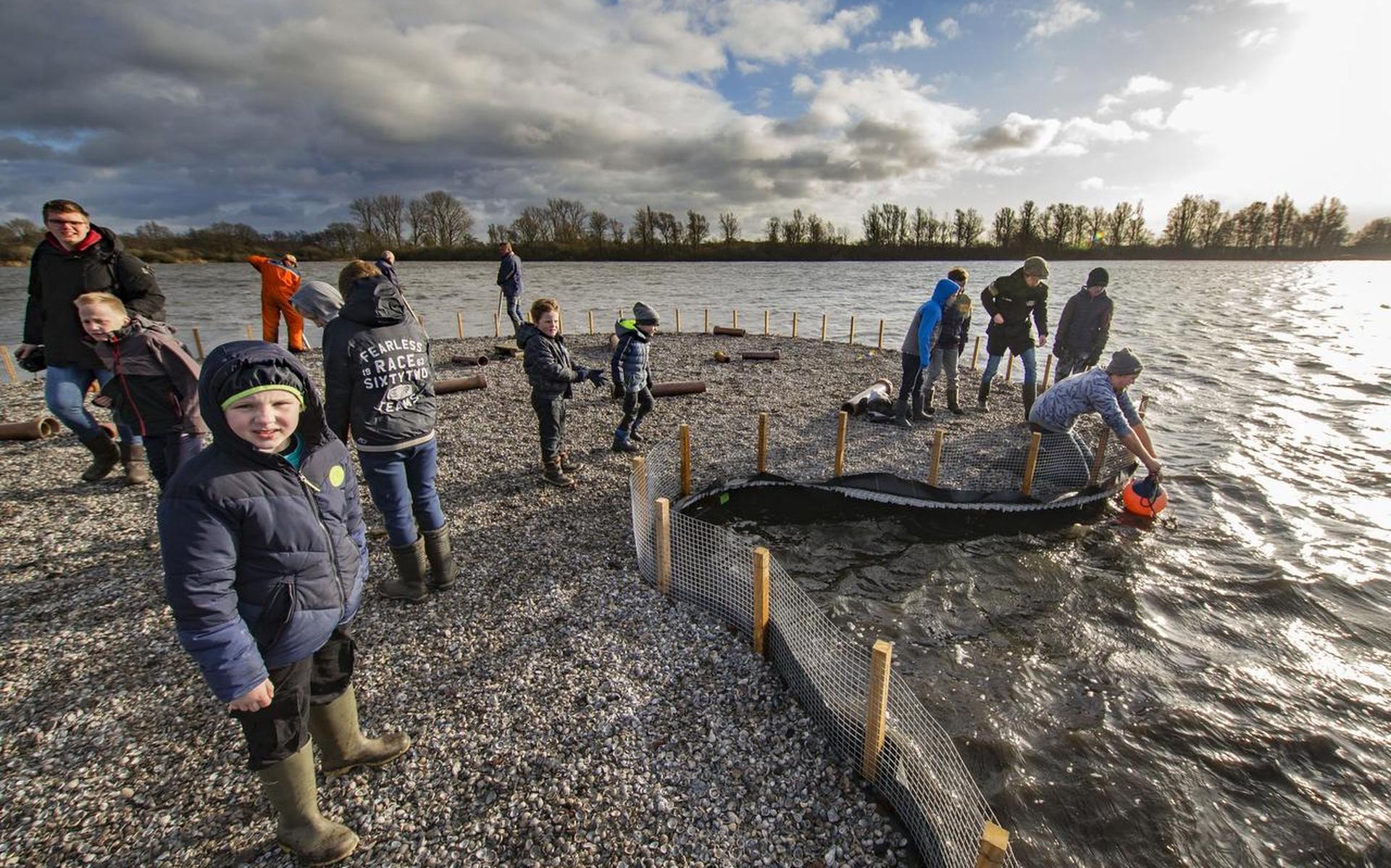 Bij gebrek aan weidevogels beschermt Vogelwacht Oldeholtpade watervogels