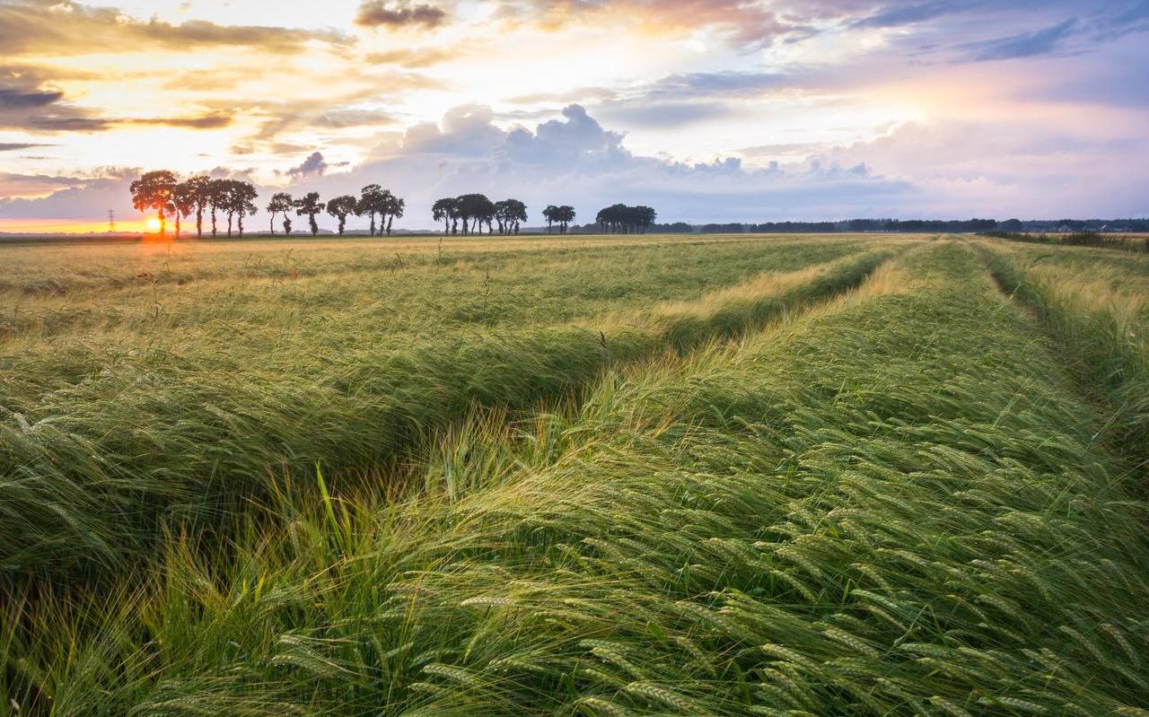 Jonge gezinnen willen groter wonen en kijken steeds vaker buiten de stad. Jonge gezinnen willen groter wonen en kijken steeds vaker buiten de stad.
