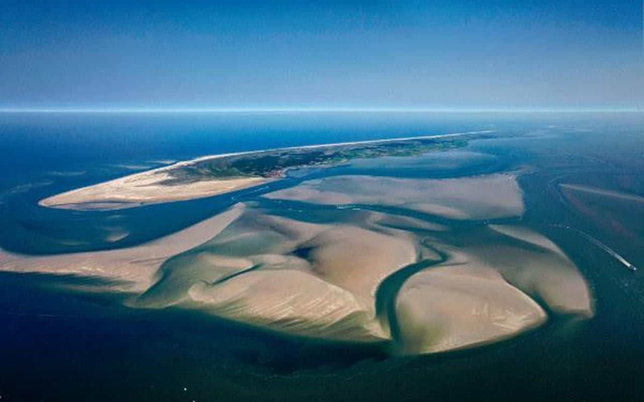 FOTO WADDENACADEMIE
FOTO WADDENACADEMIE