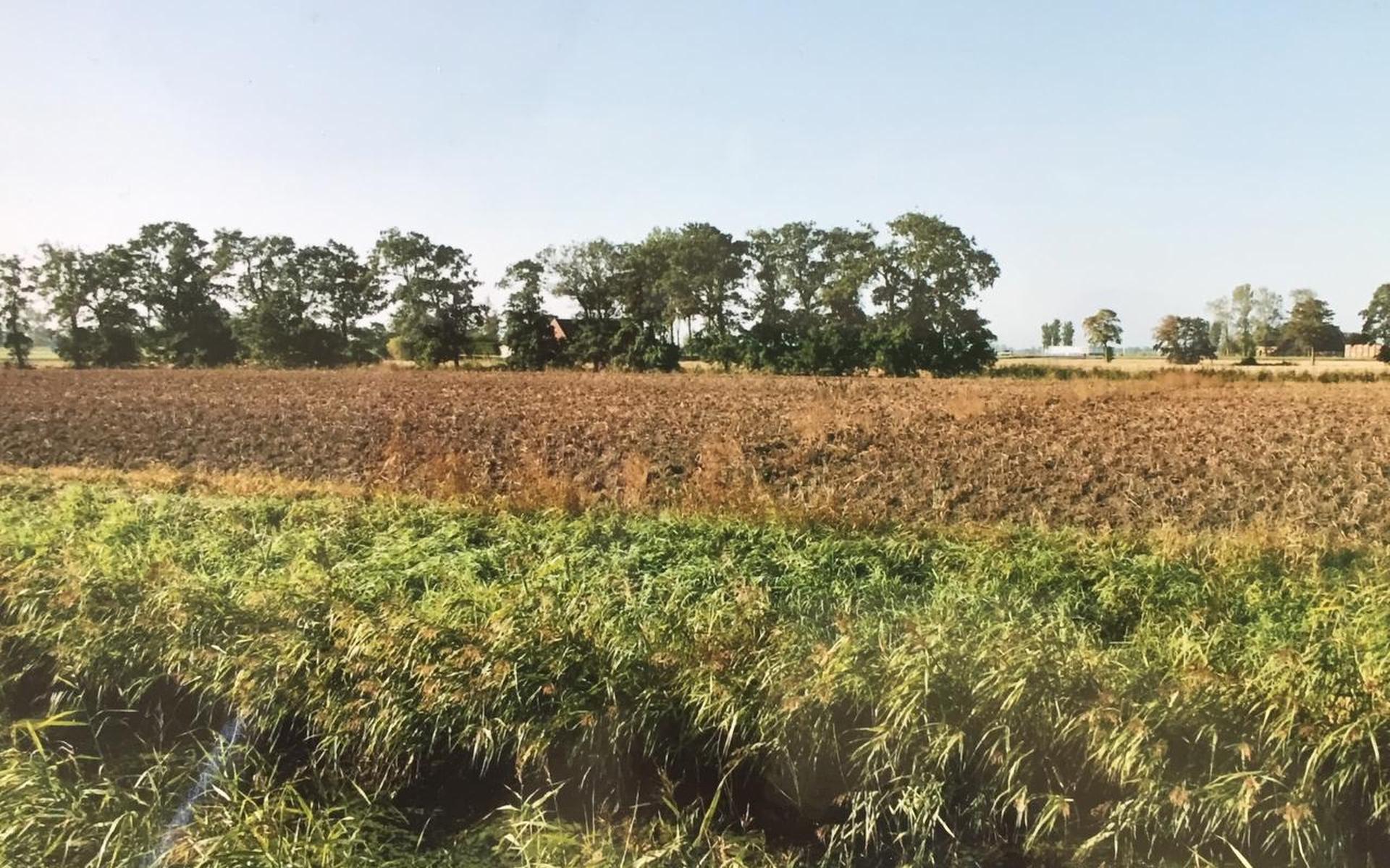 Opnieuw brandbrief over bescherming coulissenlandschap tussen Marsum en Wier - Leeuwarder Courant