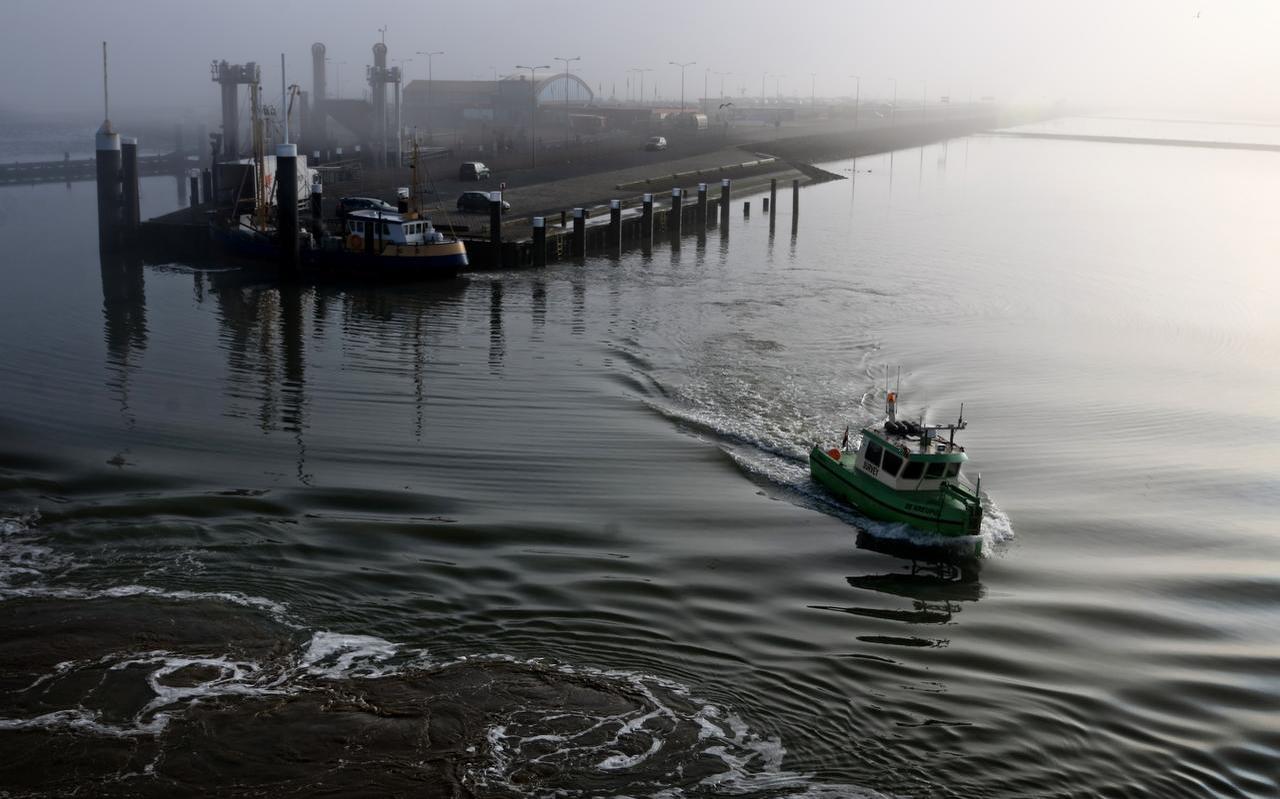 De pier bij Holwerd in de mist, vorige week. FOTO JAN SPOELSTRA De pier bij Holwerd in de mist, vorige week. FOTO JAN SPOELSTRA