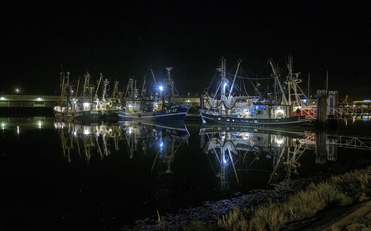 De haven van Lauwersoog met vissersschepen bij nacht. FOTO JAN ZEEMAN De haven van Lauwersoog met vissersschepen bij nacht. FOTO JAN ZEEMAN