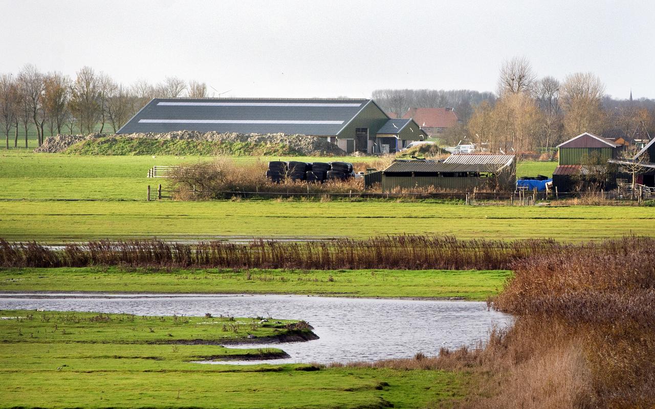 De stal aan Tibsterwei in Ee. De stal aan Tibsterwei in Ee.