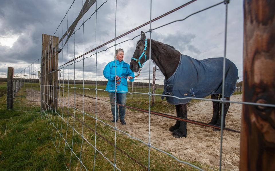Een vaste wolven-afrastering bij hobbyboer Annet Muller-ter Veen bij Appelscha. 