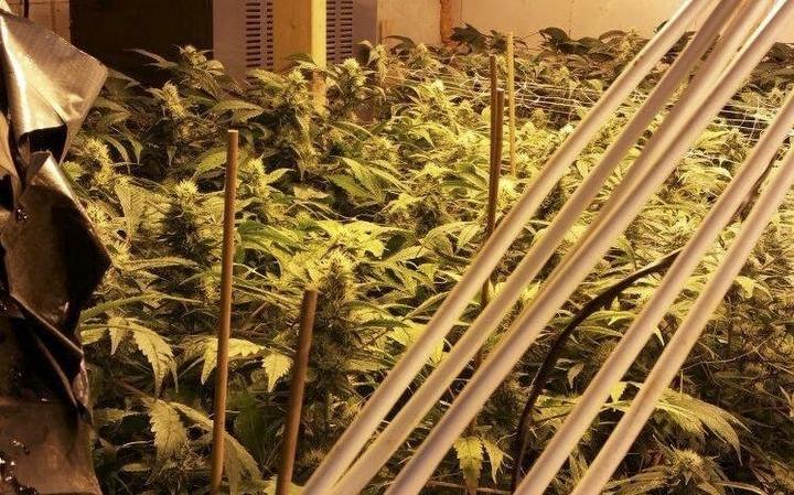 Huisdisco’s verraadden wietplantage Bakhuizen