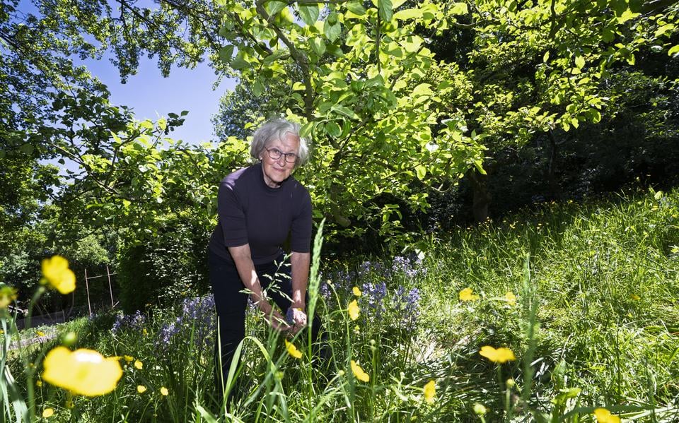 Tryntsje de Lang uit Bitgummole, voorvechter en beschermer van biodiversiteit. 