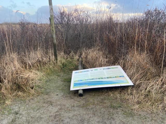 Rommel blijft liggen in Amelander natuur: Rijkswaterstaat stopt, gemeente beraadt zich en Tonnie (76