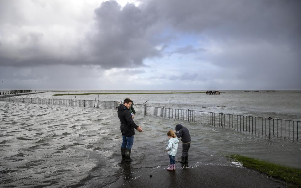 De kwelder bij het Groningse Noordpolderzijl staat onder water. Dat is goed voor de paarden en de natuur. 