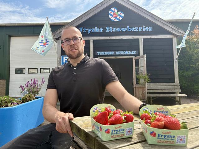 Aardbei wordt almaar populairder. ‘Verser dan hier krijg je ze niet’