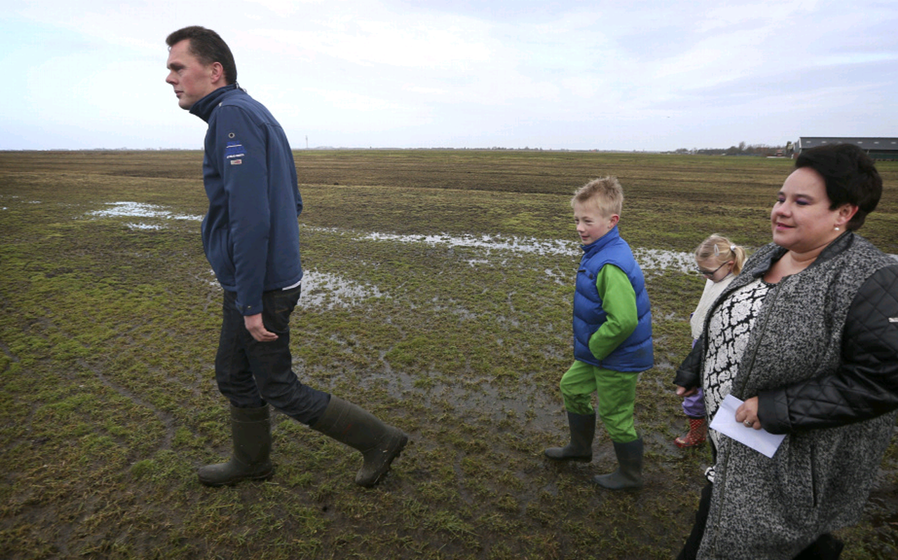 Boer Albert Schilstra leidde staatssecretaris Sharon Dijksma een jaar geleden rond op zijn door muizen aangevreten landerijen. FOTO LC Boer Albert Schilstra leidde staatssecretaris Sharon Dijksma een jaar geleden rond op zijn door muizen aangevreten landerijen. FOTO LC