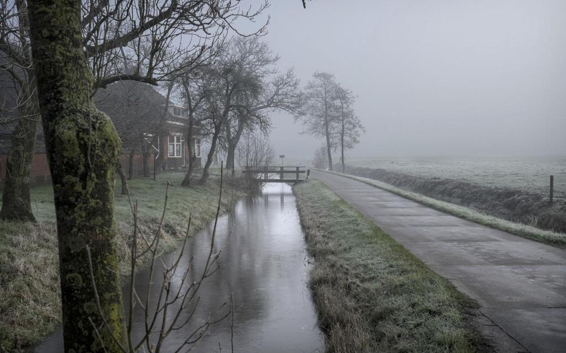 Grijs en toch kleurrijk