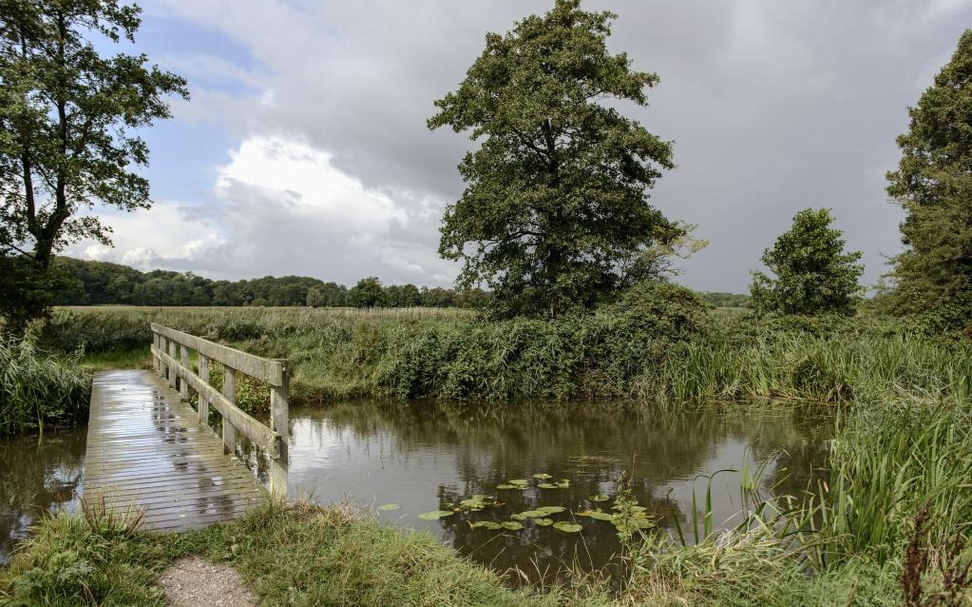 ‘Het landschap is een bordspel met pionnen'