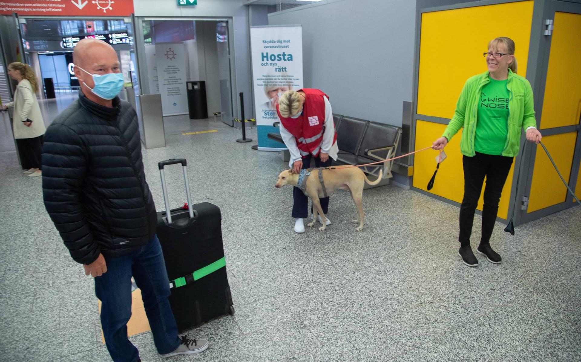 Pandemie in Finland versnelt, luchthaven zet coronahonden in