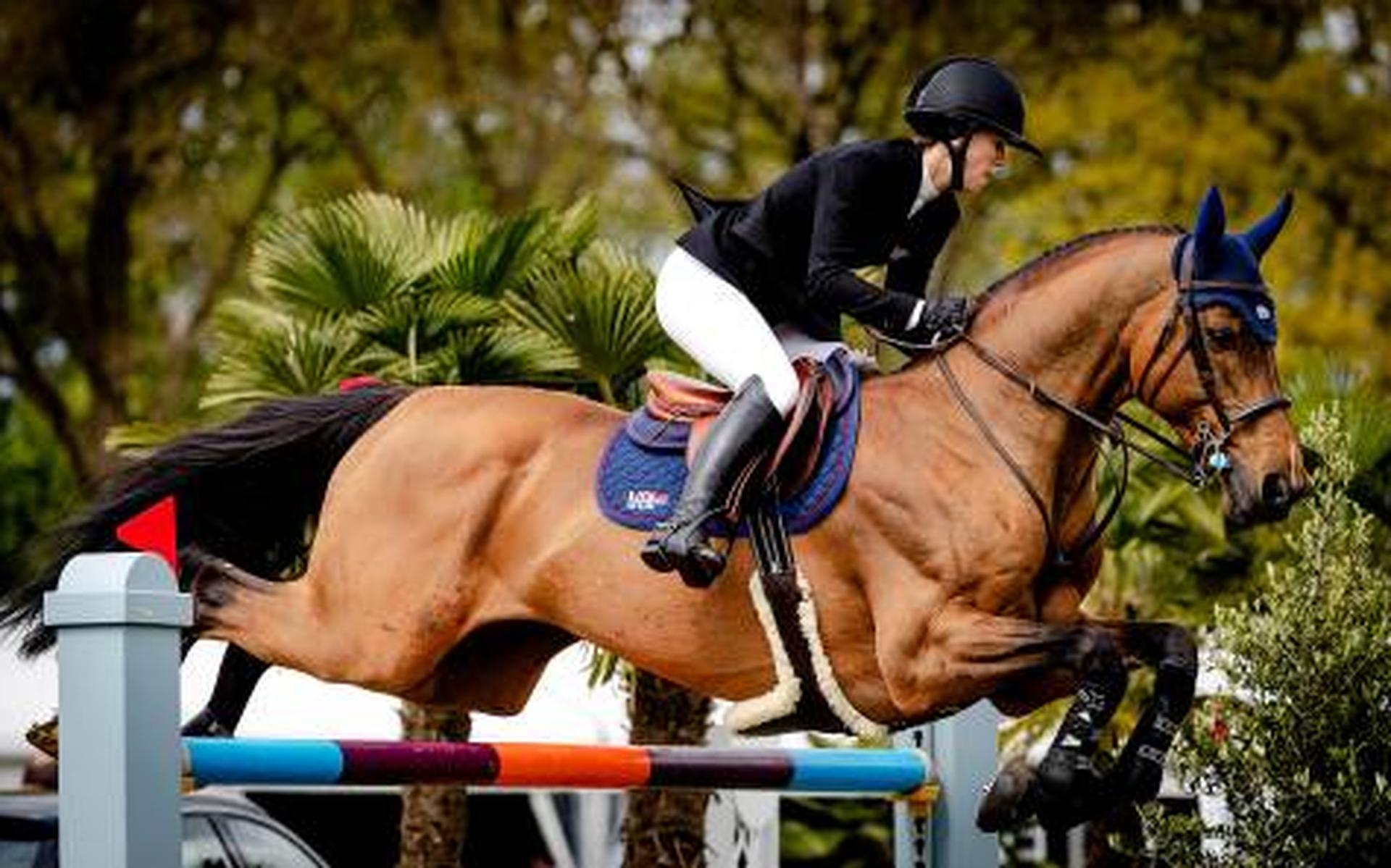 Fries Kampioenschap springen in Harich verplaatst vanwege storm Dennis