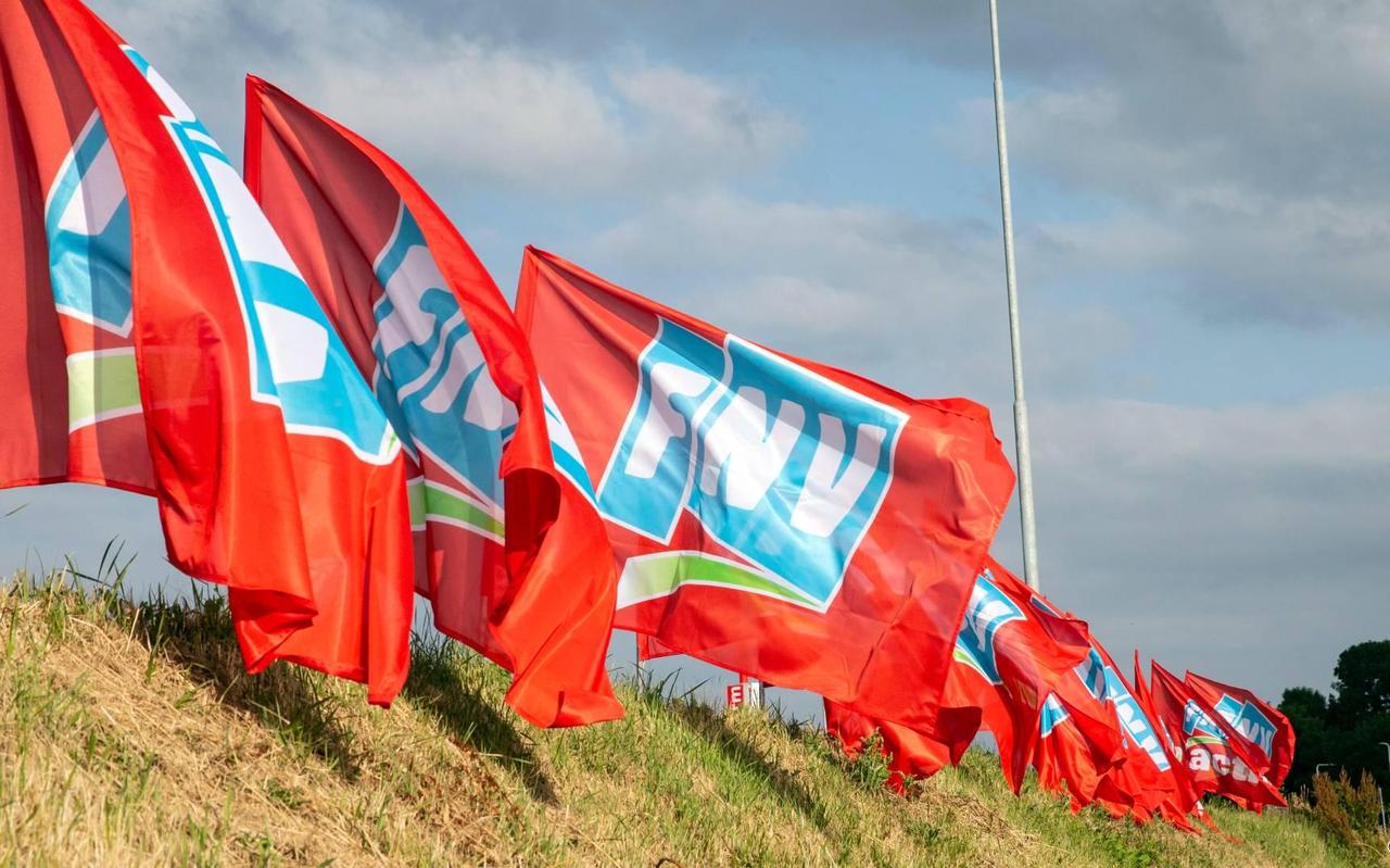 FNV wil vast baan als norm en hoger minimumloon FNV wil vast baan als norm en hoger minimumloon