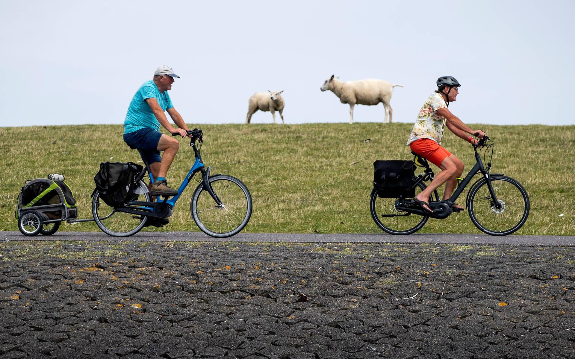 gokken Voorbijganger Peer Nederlanders fietsen meest wereldwijd, steeds meer gebruik e-bike -  Leeuwarder Courant