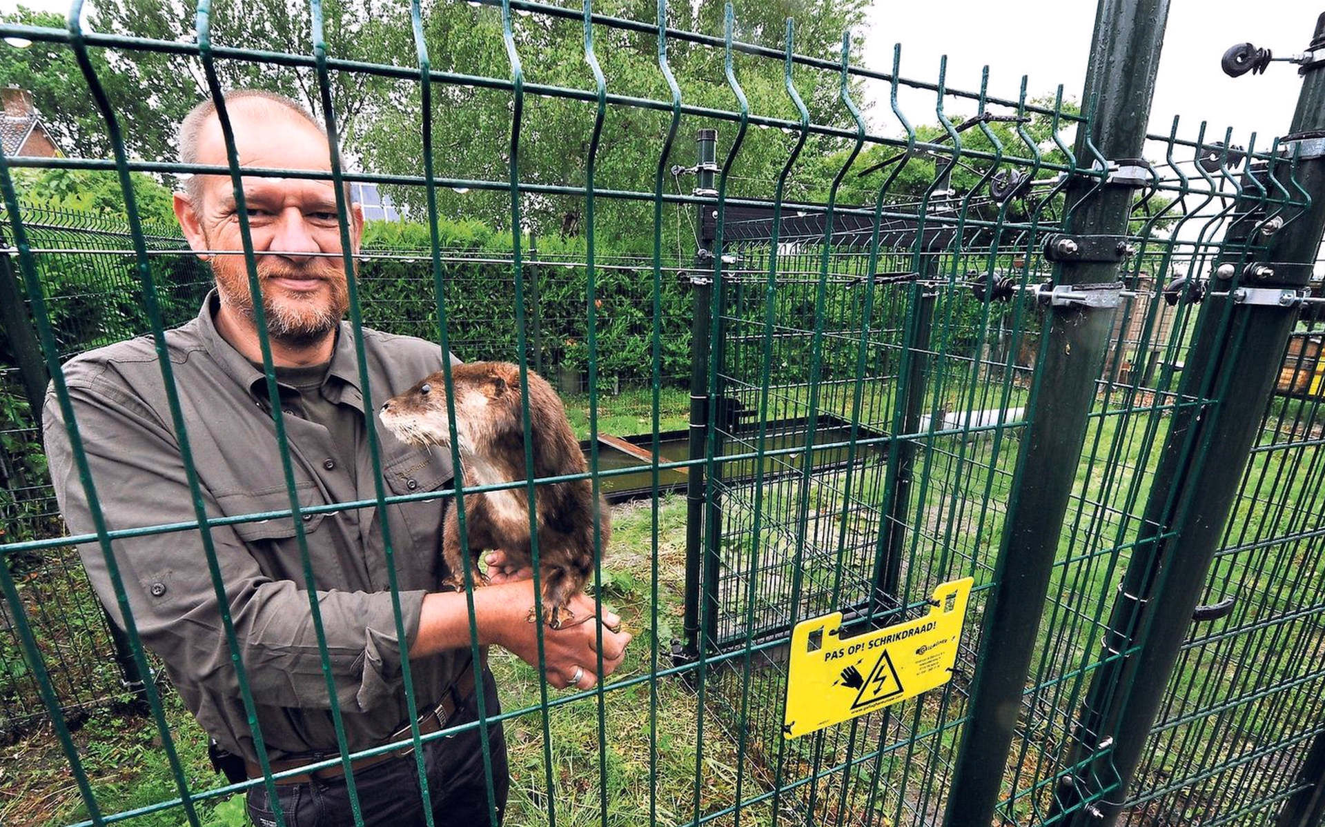 Rietnymf klaar voor hulpbehoevende otter - Leeuwarder Courant