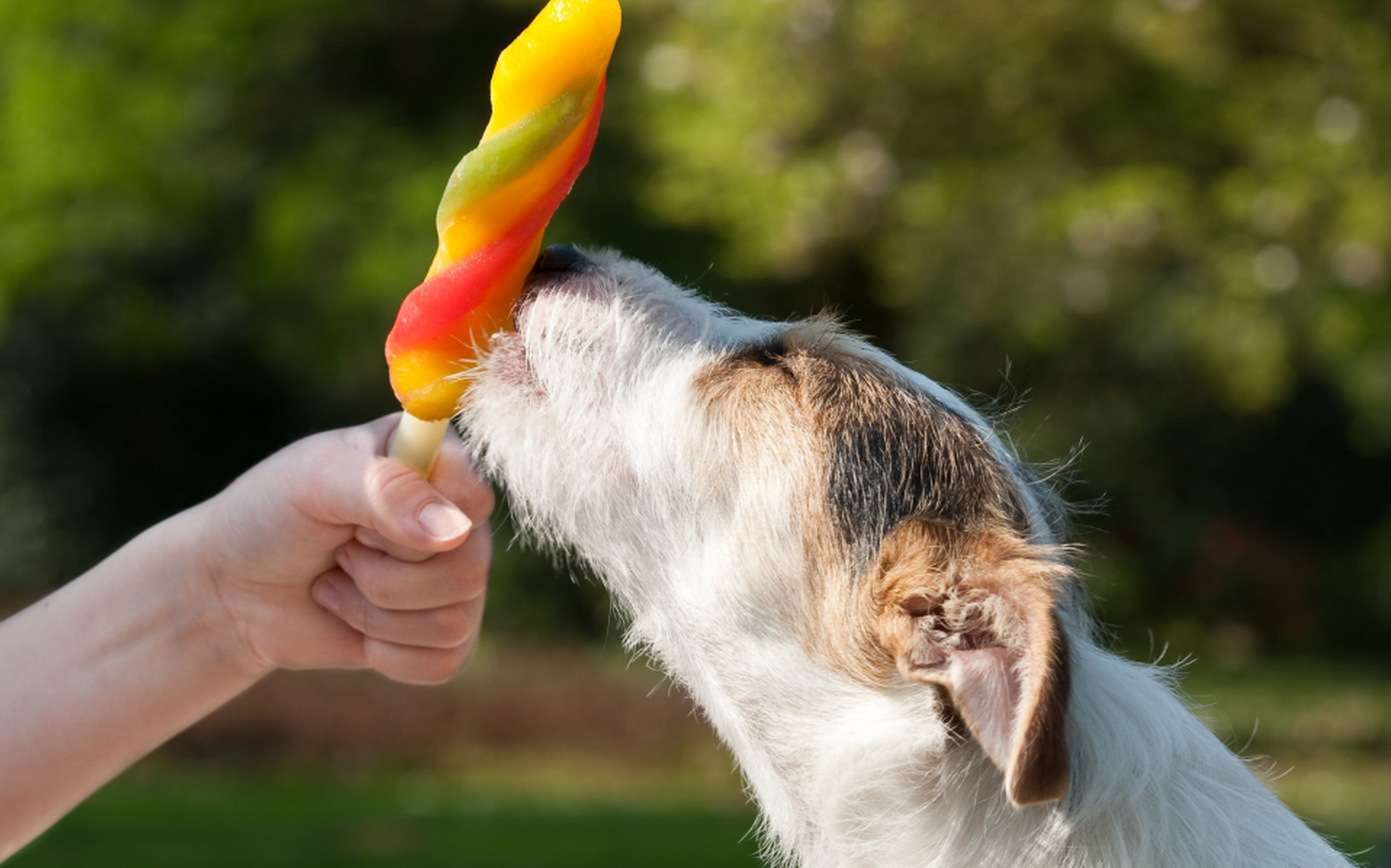 Het is de warmste 15 juni ooit gemeten - Leeuwarder Courant