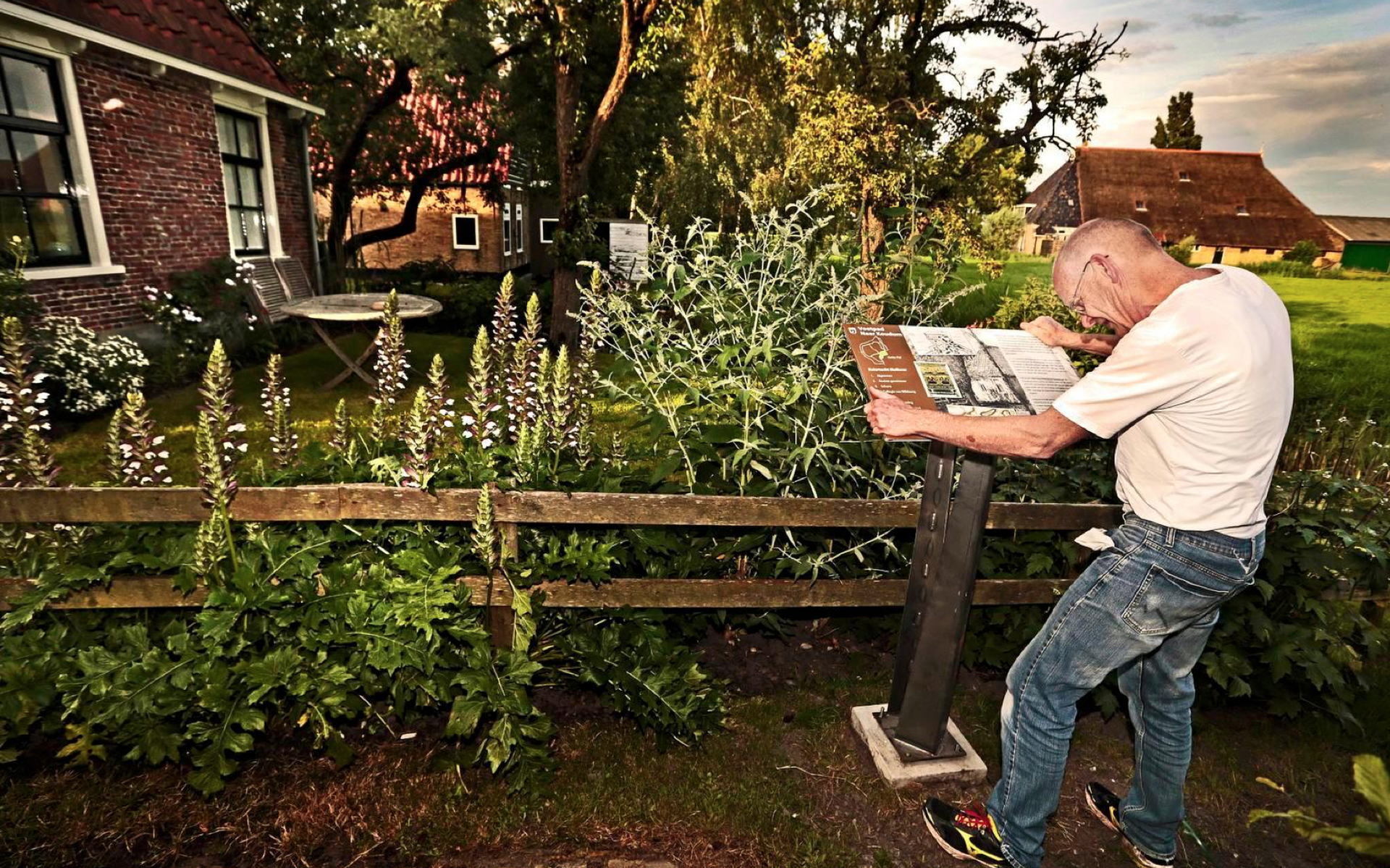 Labyrint Molkwerum ontward met panelen - Leeuwarder Courant