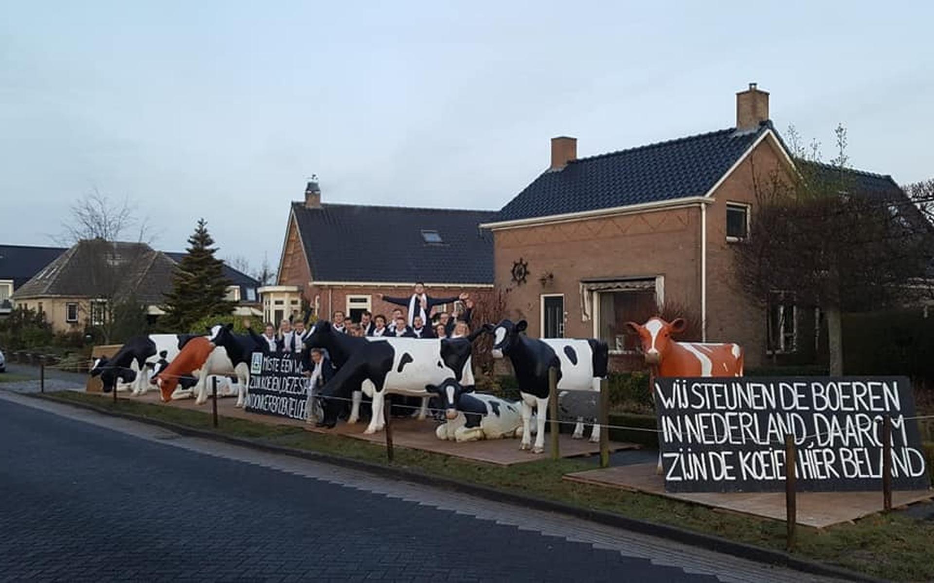 Koeien van A-Ware in Heerenveen duiken op in Donkerbroek, kaas voor tipgeefster - Leeuwarder Courant