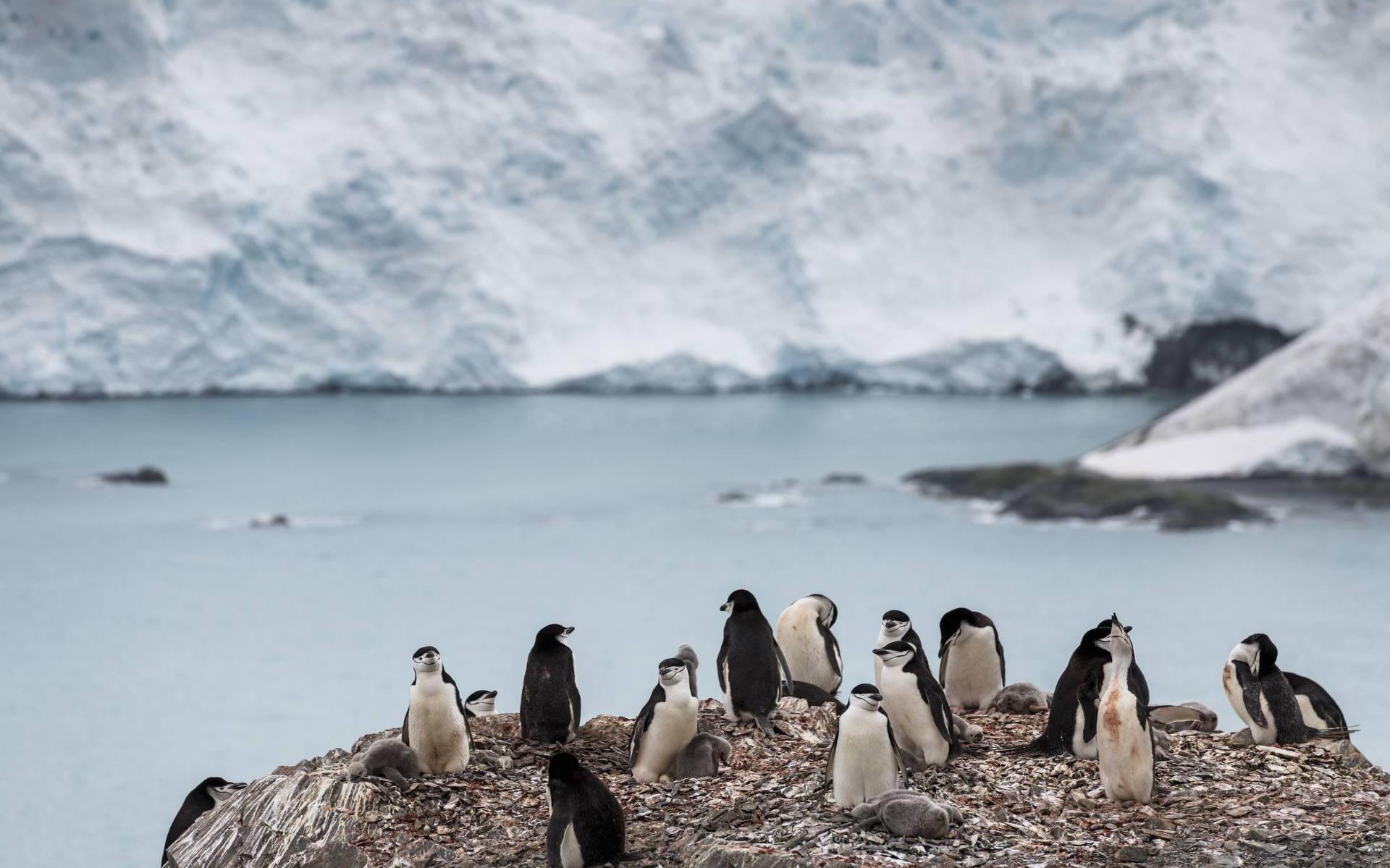Bijna recordhoeveelheid zee-ijs gesmolten dit jaar