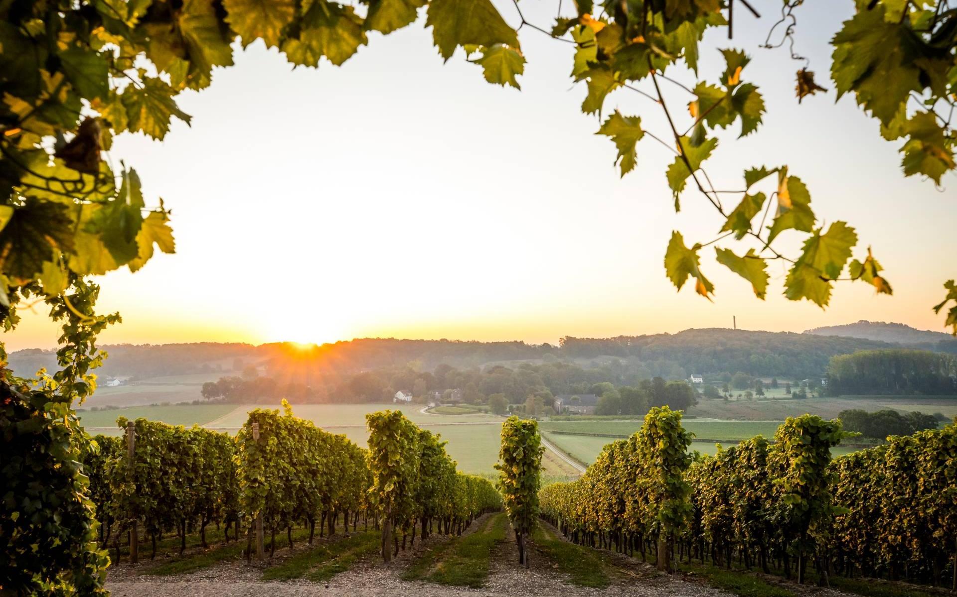 Afgelopen maand was warmste september ooit gemeten