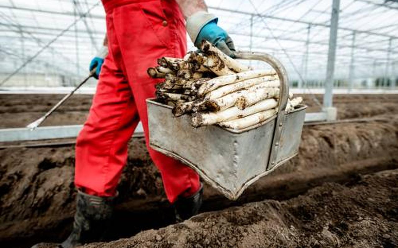 Zonder extra impulsen belooft de zo vurig bepleite verduurzaming van de land- en tuinbouw nog een uiterst complex proces te worden. Meerdere recent uitgebrachte onderzoeken maken dat duidelijk. Zonder extra impulsen belooft de zo vurig bepleite verduurzaming van de land- en tuinbouw nog een uiterst complex proces te worden. Meerdere recent uitgebrachte onderzoeken maken dat duidelijk.