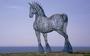 Groot Fries paard op de Afsluitdijk