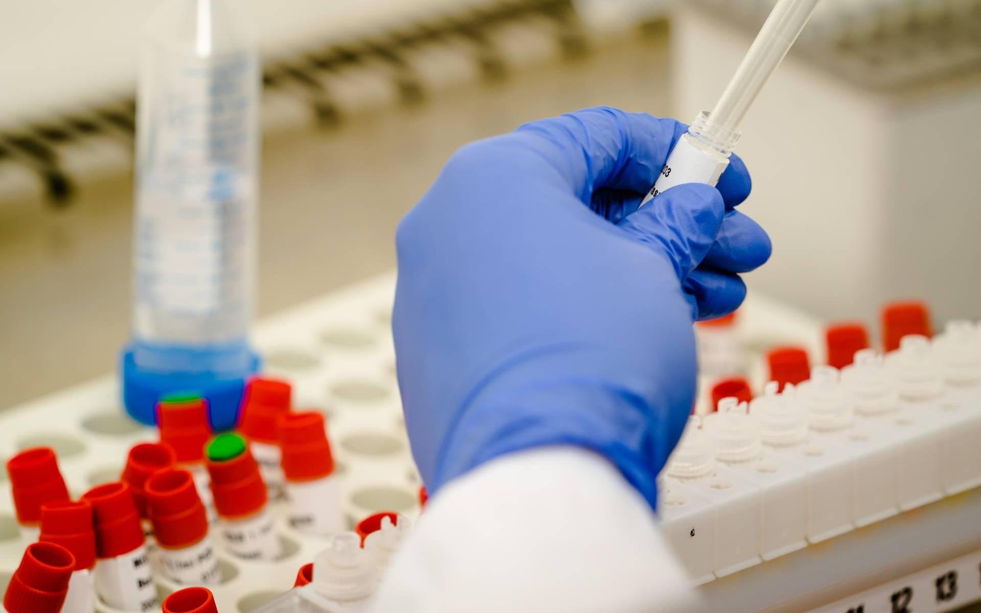 Aantal coronabesmettingen zakt in Friesland onder de honderd per week; slechts één 65-plusser test p