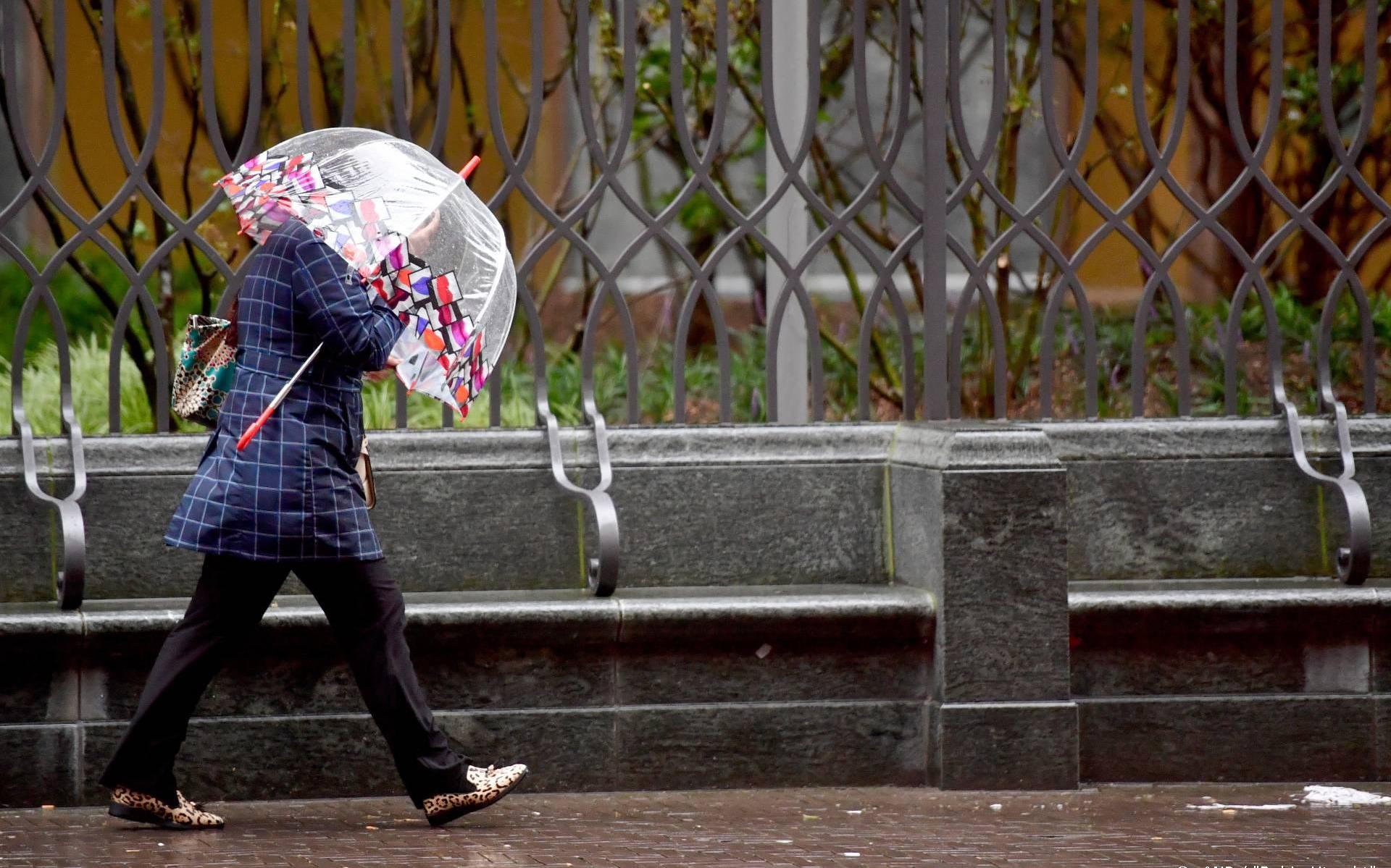 Heb Jij Ook Genoeg Van Het Slechte Zomerweer? Zaterdag Wordt Het ...