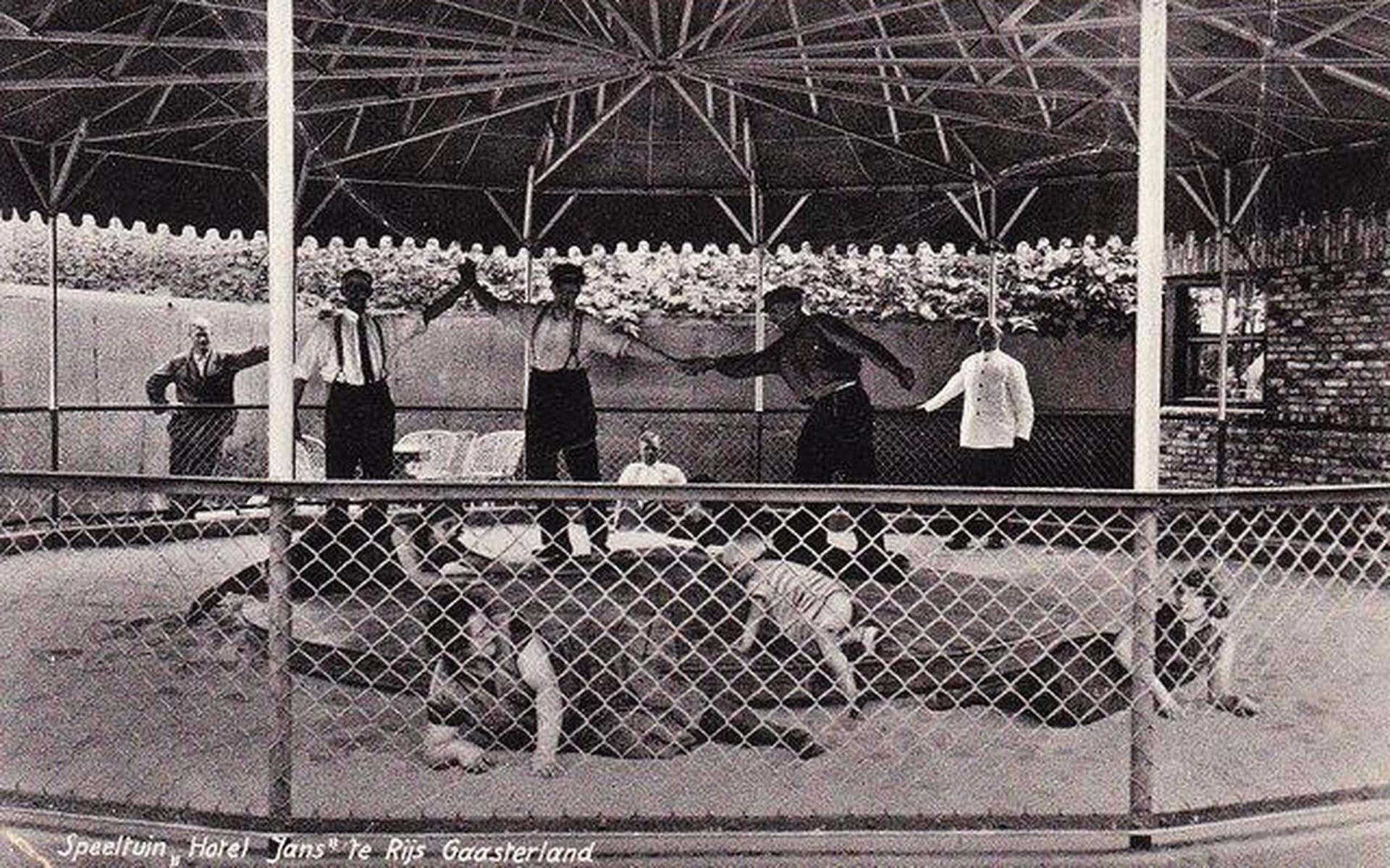 Luchtfietsers en raddraaiers: na bijna 95 jaar dreigt een speeltuinloos tijdperk in Gaasterland - Le