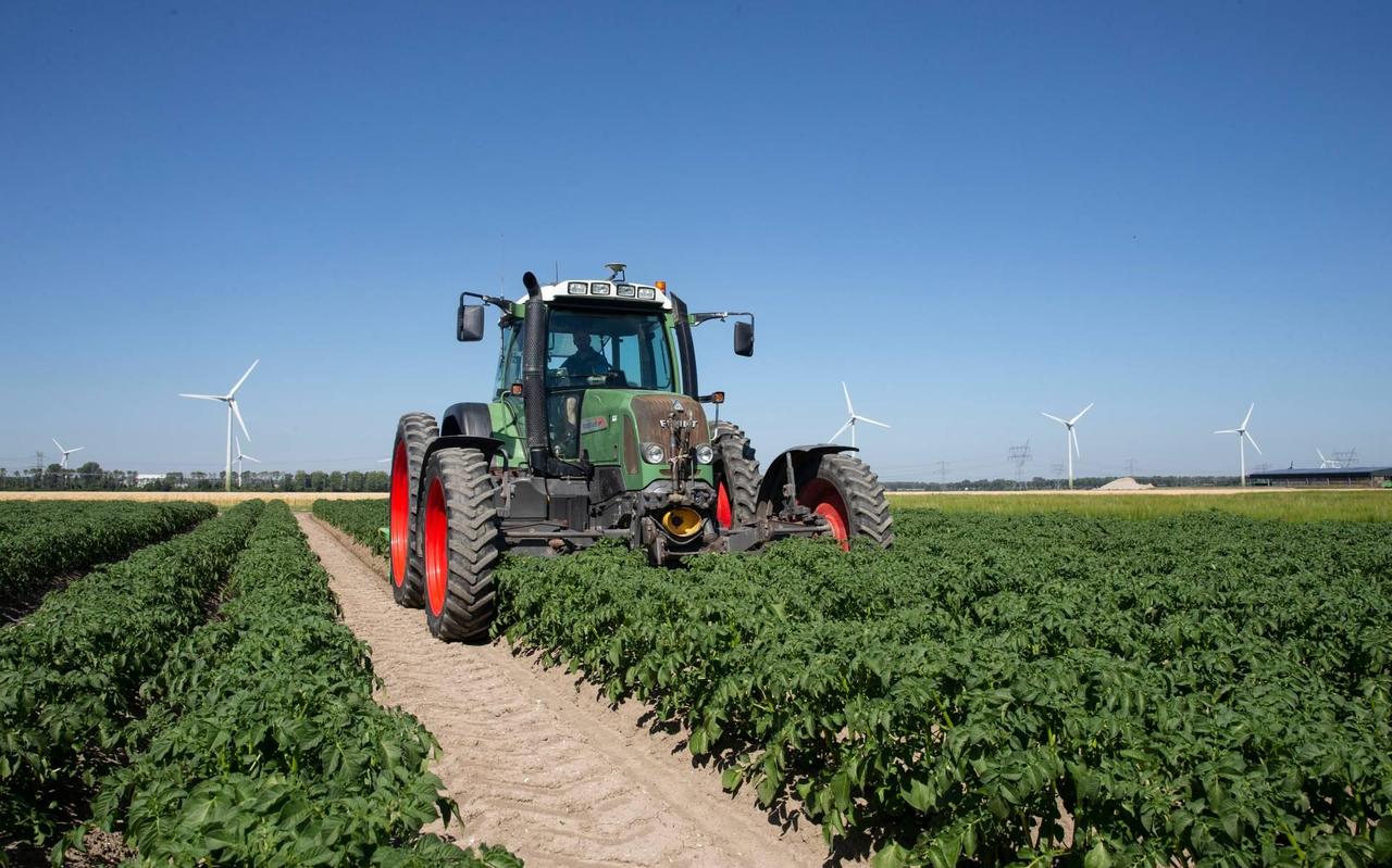Voldoende voedsel en een goede beloning voor boeren en tuinders. Dat zijn de belangrijkste pijlers onder het uit 1968 daterende Europese gemeenschappelijke landbouwbeleid. Voldoende voedsel en een goede beloning voor boeren en tuinders. Dat zijn de belangrijkste pijlers onder het uit 1968 daterende Europese gemeenschappelijke landbouwbeleid.