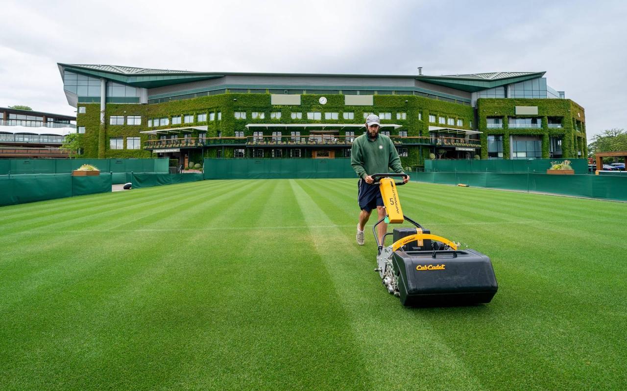 Wimbledon heeft vertrouwen in verwelkomen van meer fans Wimbledon heeft vertrouwen in verwelkomen van meer fans