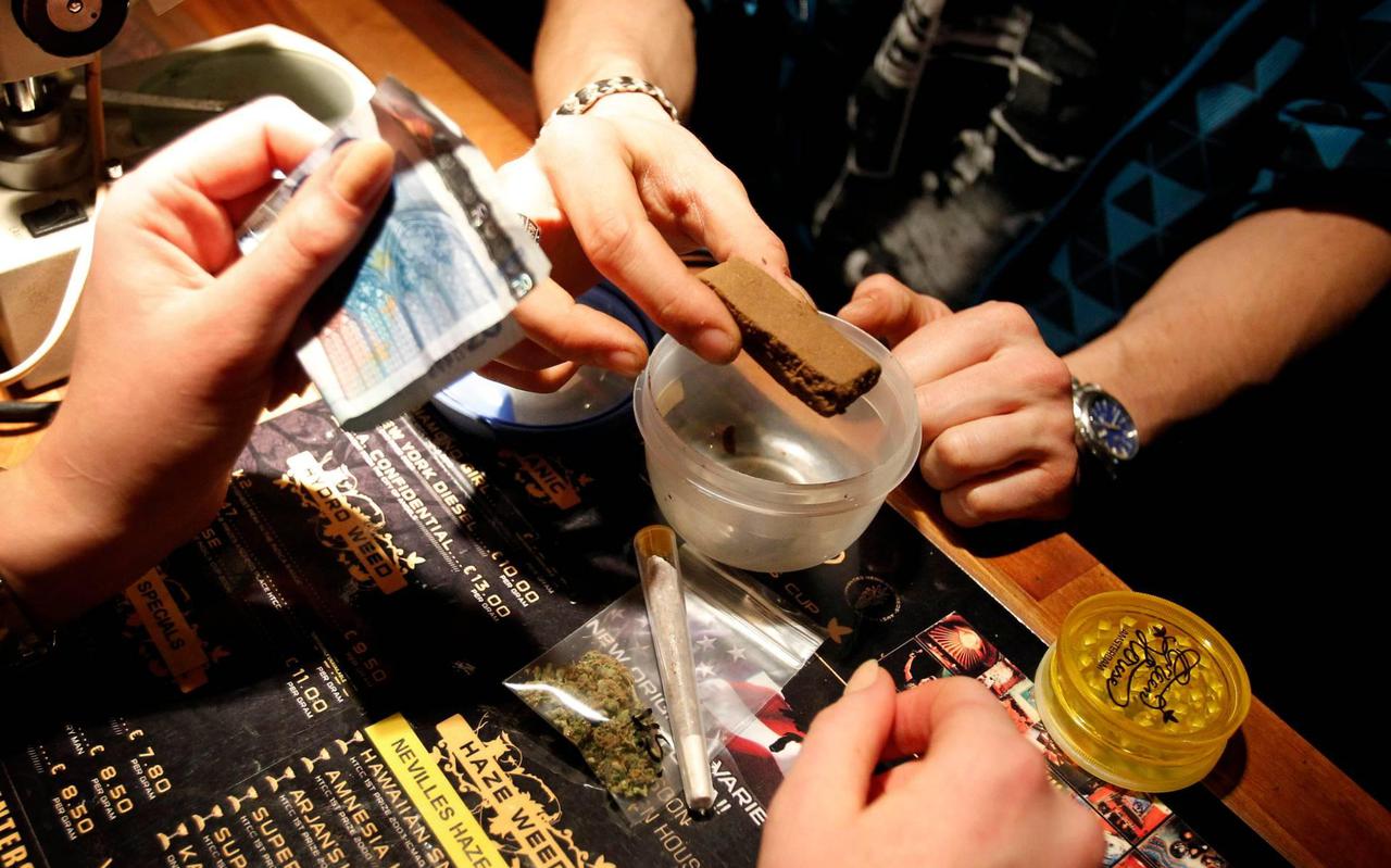 'Amsterdams plan over coffeeshops slecht voor leefbaarheid stad'