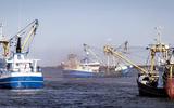 Nederlandse kottervisserij draait fors verlies