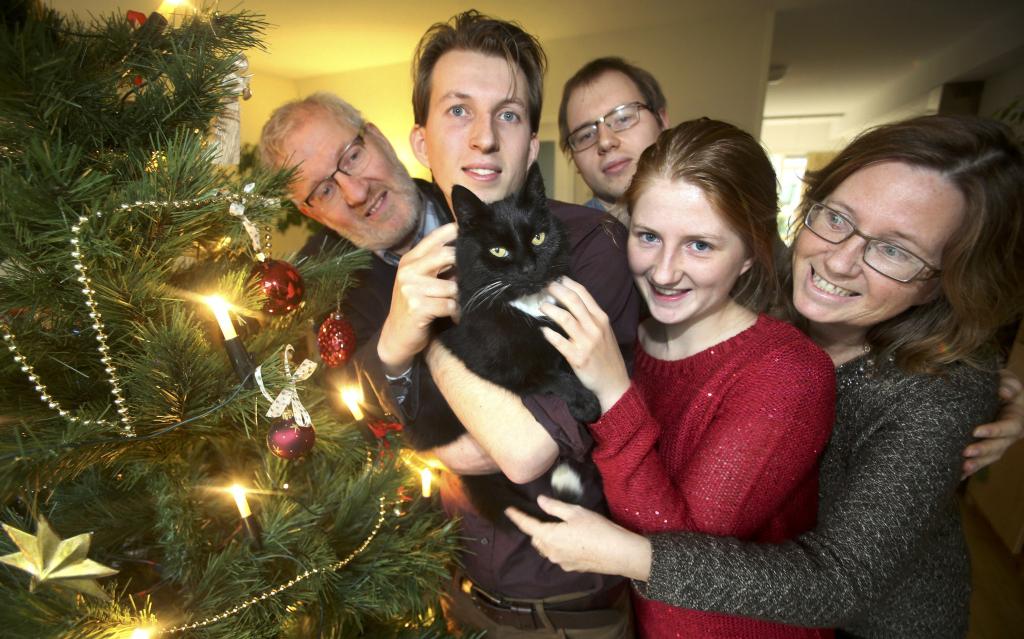 Moortje na half jaar terug tijdens kerst - Leeuwarder Courant