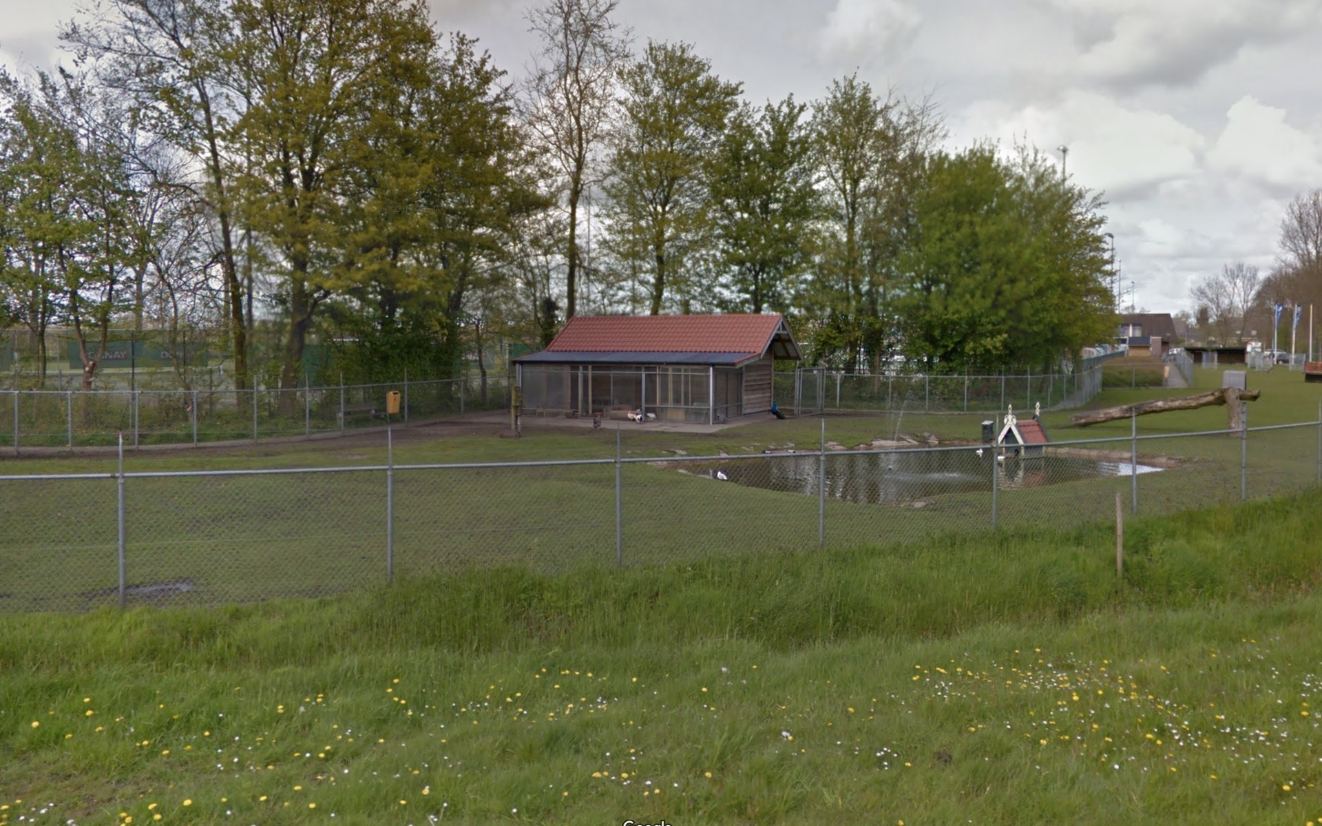 Dorpsbelang: stop met dumpen dieren in hertenkamp Rottevalle - Leeuwarder Courant