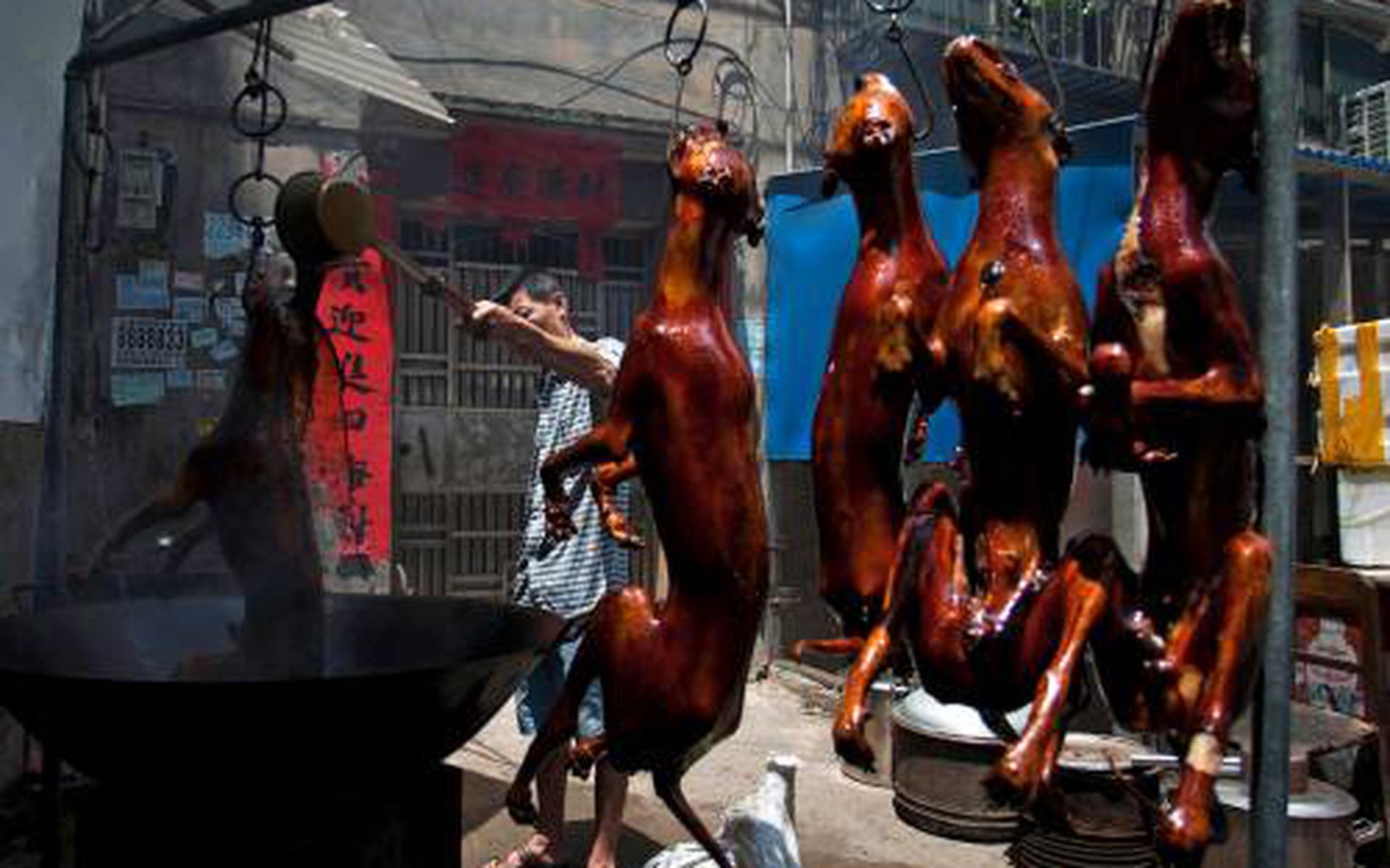 Shenzhen eerste Chinese stad die eten honden en katten verbiedt